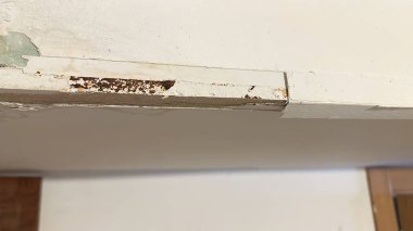 Burgos İspanya Katedrali Gotik