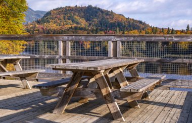 Jacques-Cartier Ulusal Parkı yakınlarındaki Ahşap Köprü 'de piknik masaları Renkli Sonbahar Yeşillikleri ile çevrili