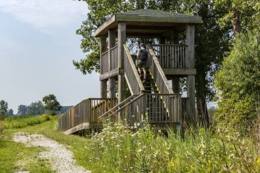 A Man Walking Up the Steps of the Observation Tower at St. Clair National Wildlife Area in Chatham Ontario Canada clipart