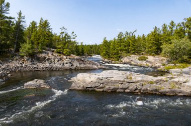 Beş Parmak Hızlı Fransız Nehri İl Parkı Ontario Kanada