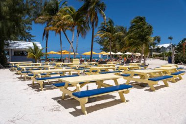 Grand Cayman Adası 'ndaki Rum Noktası' nın Beyaz Kumlu Kumsalında Renkli Sarı Piknik Masaları