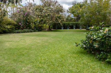 Grand Cayman Adası 'ndaki Kraliçe Elizabeth II Botanik Parkı' nda manikürlü bahçe.