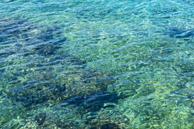 Karayip Okyanusunun Güzel Turkuaz Suyu