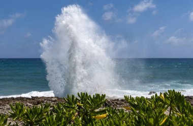 Grand Cayman Adası 'nın doğu kıyısındaki bir hava deliğinden su fışkırıyor.