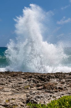 Grand Cayman Adası 'nın doğu kıyısındaki bir hava deliğinden su fışkırıyor.