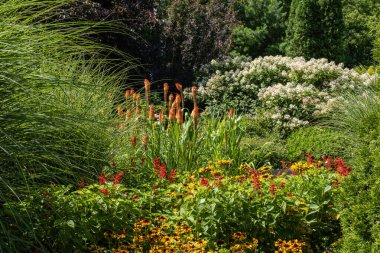 Ağaçlarla Dolu Güzel Bahçe, Süslü Çimen, Çiçekler Dolu -- Hydrangea, Red Hot Poker, Black Eyed Susan, Geranium Rozanne ve Scarlet Sage 