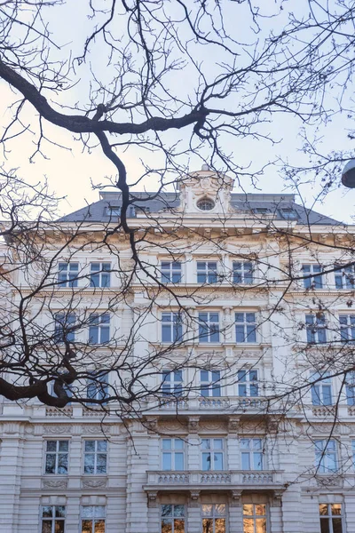 Фотографія Чудового Будинку Відні Австрії Гілках Дерев — стокове фото