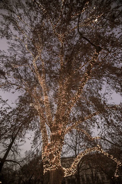 Деталь Дерева Прикрашений Кришталевими Вогнями Різдвяному Ринку Площі Ратуші Міста — стокове фото