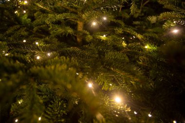 Schonbrun Sarayı 'ndaki bir Noel ağacının ışıkları.