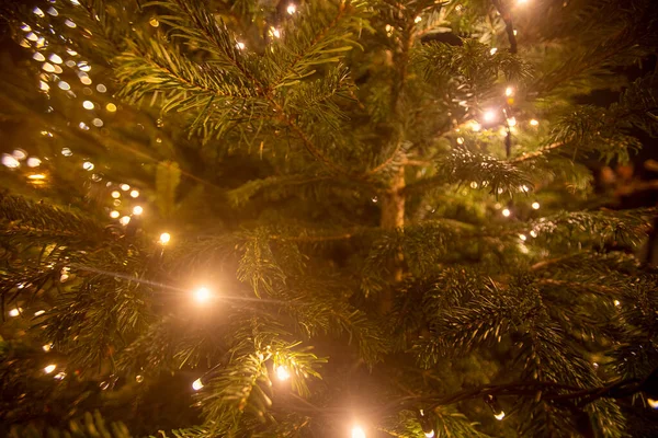 Detalle Las Luces Árbol Navidad Palacio Schonbrun Cerca —  Fotos de Stock
