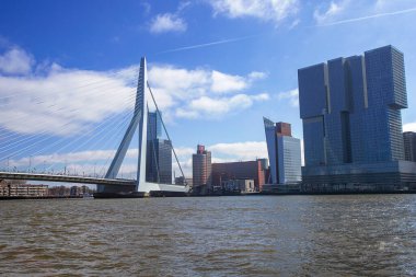 Rotterdam, Hollanda 'daki Erasmusbrug köprüsünün fotoğrafı ve şehrin ve kanalın detayları