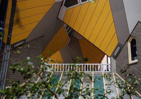 Photograph Kubuswoning Cube Houses Rotterdam Netherlands Yellow Color Original Architecture — Stock Photo, Image
