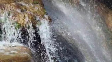 Ormanda güzel bir şelale