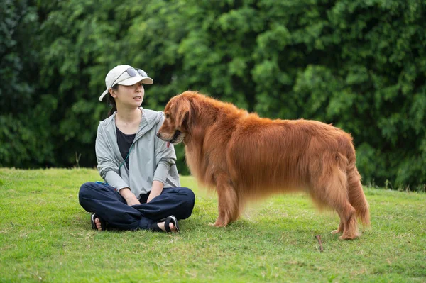 ゴールデンレトリバー犬は所有者と草の上に座っている — ストック写真