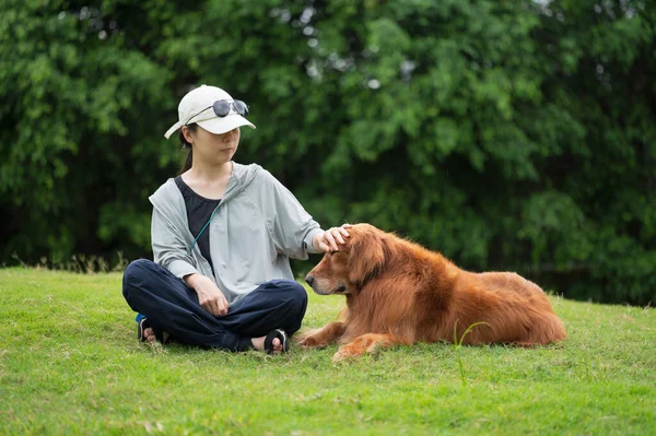 Golden Retriever Pies Siedzi Trawie Właścicielem — Zdjęcie stockowe