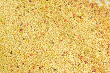 Yakın plan taze Kolombiya kahvesi.