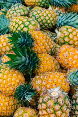 Taze toplanmış taze ananas çeşidine yakın plan ballı altın (Ananas comosus)