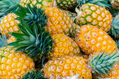 Taze toplanmış taze ananas çeşidine yakın plan ballı altın (Ananas comosus)