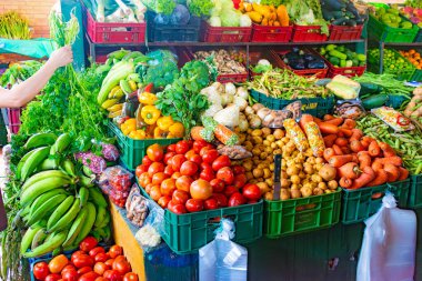 Kolombiya 'da bir pazar meydanında taze sebze ve sebzeler. Bir kadının elinde taze kişniş buketi var.