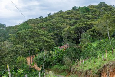 Dağların ortasındaki Kolombiya kahve çiftliğinin manzarasında köylü evinin kil kiremit çatısını görebilirsiniz.