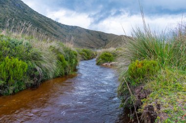 Doymuş renklerle dolu bir manzara soğuk dağlarda bir nehir ve arkaplanda nehrin her iki tarafında bol miktarda ot görebilirsiniz.