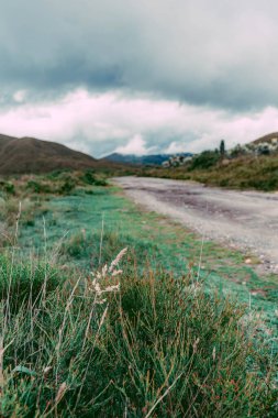 Kolombiya 'nın soğuk dağlarında asfaltsız bir yolu olan, bulutlu bir günde önlerinde çalılar olan dağlık bir arazi.