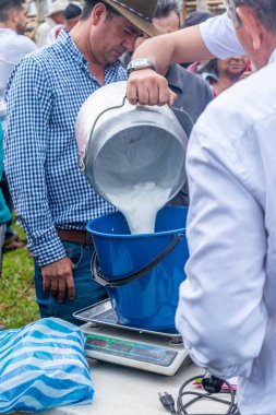 Mogotes, Santander, Kolombiya, 28 Haziran 2024, bir süt ineği yarışması jürisi katılımcının sütünü tartıyor.