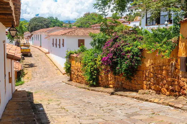 Santander, Kolombiya 'da, Barichara' da geleneksel bir kaldırım taşı sokağının manzarası. Görüntü, kil kil kiremit çatılı, renkli çiçekli ve parlak, güneşli bir gökyüzü altında yemyeşil evleri gösteriyor. Barichara...