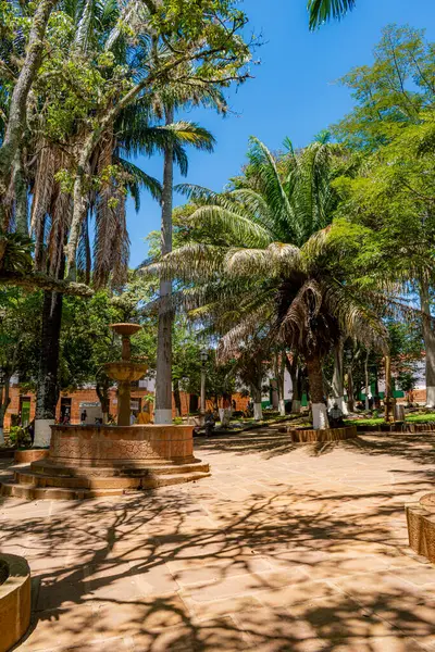 Barichara, Santander, Kolombiya, 11 Ekim 2024. Barichara 'daki Central Park' ın dikey görüntüsü. Uzun palmiye ağaçları kırsal taştan bir fıskiyenin tepesinde. Barışçıl ortam bu kasabanın koloni cazibesini ve doğal güzelliğini yansıtıyor..