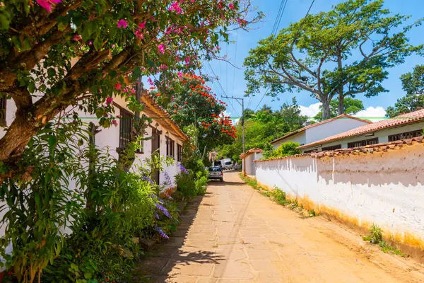 Barichara, Santander, Kolombiya, 11 Ekim 2024. Barichara 'da bir tarafta bereketli süs bitkileriyle kaplı bir kaldırım taşı caddesi verimli ve renkli bir atmosfer yaratıyor. Arka planda, kırmızı çiçekli bir ağaç açık mavi bir ağacın altında duruyor. 