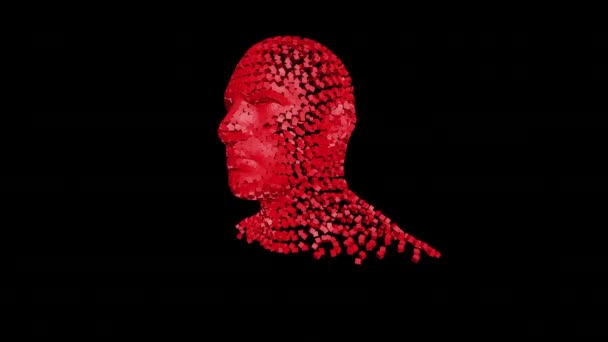 Zniszczenie Ludzkiej Głowy Kostek Animacja Ukazująca Proces Niszczenia Ludzkiej Głowy — Wideo stockowe