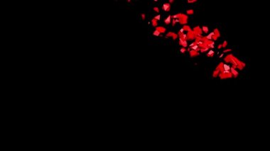 Abone tuşu, 3 boyutlu animasyon. Üyelik sözcüğünün patlaması.