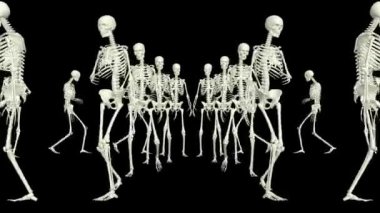 İskeletler etrafta koşuşturuyor. 3B çalışan iskeletler.