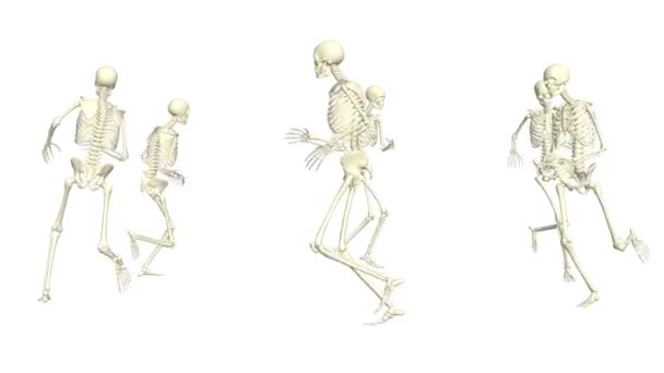 Skeletler Etrafta Koşuşturuyor Çalışan Iskeletler — Stok video