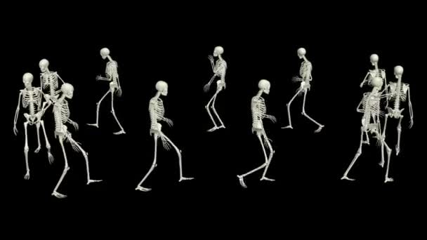 Skeletterne Løber Rundt Kørende Skeletter – Stock-video