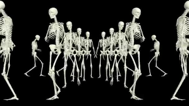 Die Skelette Laufen Herum Laufskelette — Stockvideo