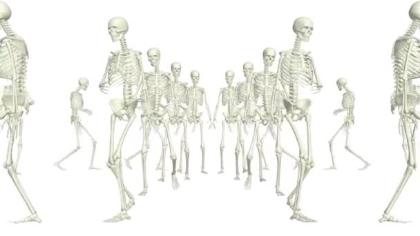 Skeletons Run Running Skeletons — Stock Video