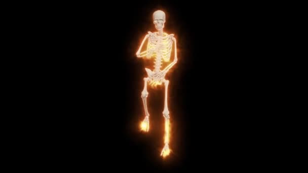 舞动的消防骷髅3D 3D骷髅范妮舞蹈动画 骷髅3D舞火舞 — 图库视频影像