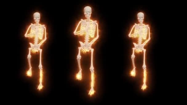 Танцующие Огненные Скелеты Skeletons Fanny Dance Animation Скелет Танец Огненные — стоковое видео