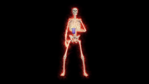 Fire Skeleton Vypije Transformační Nápoj Změní Barvu Ohně Magic Video — Stock video