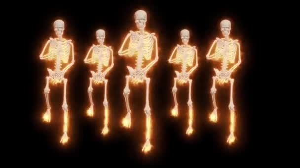 Танцующие Огненные Скелеты Skeletons Fanny Dance Animation Скелет Танец Огненные — стоковое видео