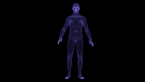 Μιλάμε Άνθρωπος Animation Πλέγμα Υφής Πλέγμα Μυστικιστική Υφή Ολογράφος Μιλάει — Αρχείο Βίντεο