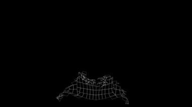 Çokgenlerin 3 boyutlu animasyonu. Çokgen üç boyutlu animasyon. İnsan kafası çokgenlerinin animasyonu.