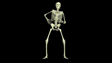 Zombi Tırmığı Boşta. Dörtte bir. İskelet 3 boyutlu animasyon. Gerçekçi hareketler. Bu video farklı bakış açılarından dört parçadan oluşur (görünüm, yan, sağ, arka). 360 derece.