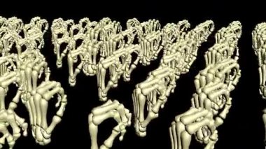 İskelet Ellerin 3 Boyutlu Canlandırması Döngü Gerçekçi Kemik Hareketindeki Parmakları Sıkıştırma ve Açma