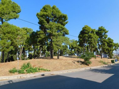 Ismenian Apollo tapınağının antik çağlarda, Thiva 'da ya da Yunanistan' daki Teb 'de durduğu tepe.