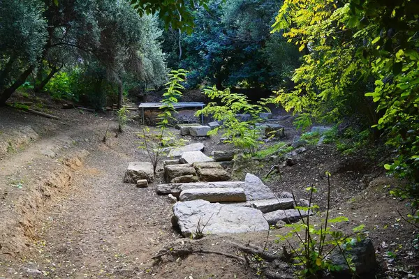 Platos Akademisi 'nin antik sitesi. Parktaki eski taşlar