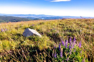 Washington 'daki Spokane Dağı manzaralı güzel bir yer.
