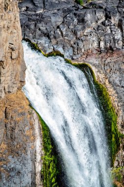 Palouse Falls Doğu Washington, ABD