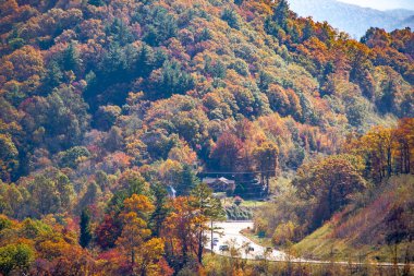 Sonbaharda Blue Ridge Dağları Kuzey Carolina